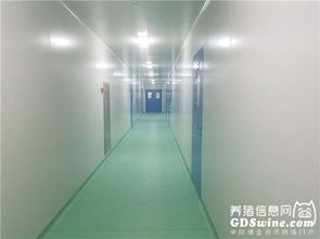 正業生物疫苗懸浮培養車間通過農業部GMP認證，引領生物制品產業新篇章